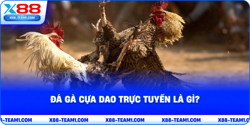 da-ga-cua-dao-truc-tuyen-la-gi