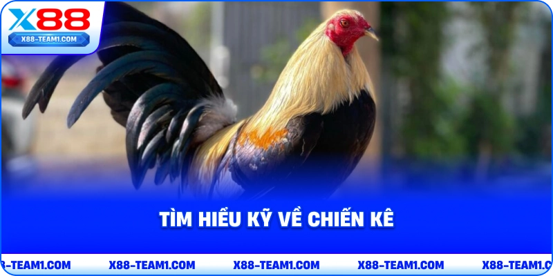 tim-hieu-ky-ve-chien-ke