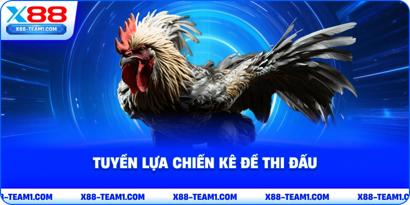 tuyen-lua-chien-ke-de-thi-dau